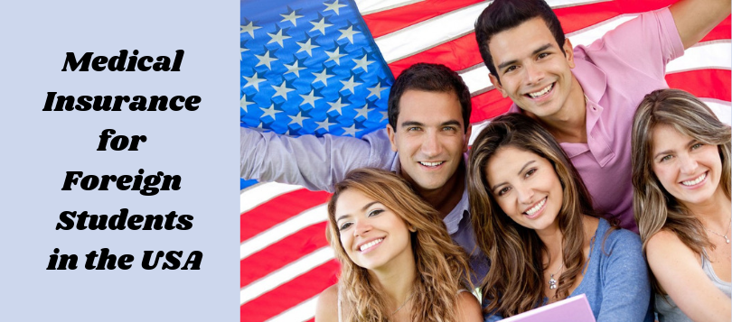 Medical Insurance in the USA